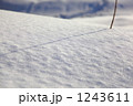 雪原に