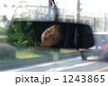 バックミラーの君