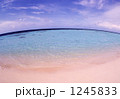 1245833