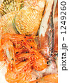 魚介類