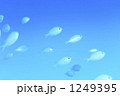 ブルーの海と魚達
