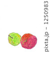 1250983