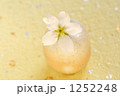 1252248
