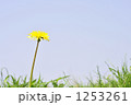 1253261