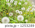 1253289