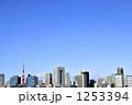 1253394