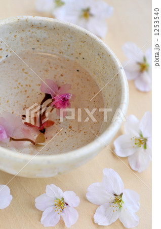 花 花びら 桜