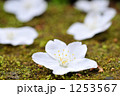 1253567