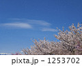 1253702