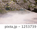 1253739