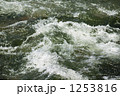 1253816