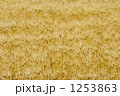 1253863