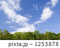 1253878