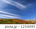 1254095