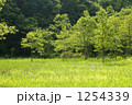1254339