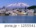 春の高松の池と岩手山