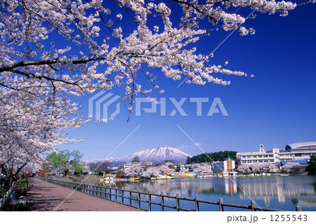 「春の高松の池と岩手山」の写真素材 「春の高松の池と岩手山」の写真素材