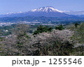 桜と岩手山