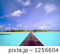 1256604