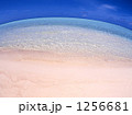 1256681
