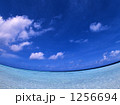 1256694