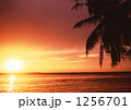 1256701