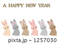 うさぎ