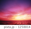 1258814