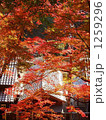 香嵐渓の紅葉