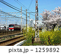 桜と電車