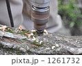 1261732