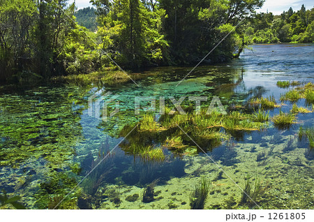 「湧き出るスプリングウォーター」の写真素材 「湧き出るスプリングウォーター」の写真素材