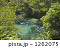 湧き出るスプリングウォーター