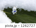 1262727