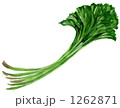 フキ０１０