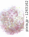 1263162