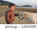 犬とのたわむれ