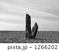 砂丘に剣石