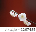 1267485