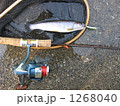 渓流釣り