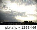 1268446