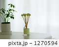 1270594