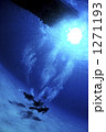 1271193