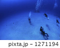 1271194