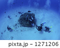 1271206