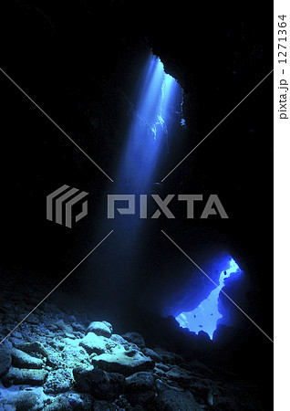 「海中 光 ケーブ 水中 地形 」の写真素材 「海中 光 ケーブ 水中 地形 」の写真素材