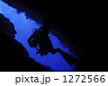 1272566