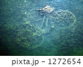 自然とゴミ