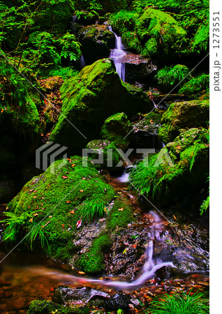 「美岩苔流」の写真素材
