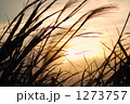 1273757